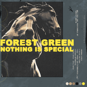 Forest Green - Nothing is Special